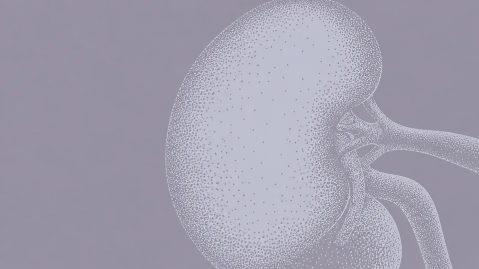 3D Reconstruction of the Kidney Tumor