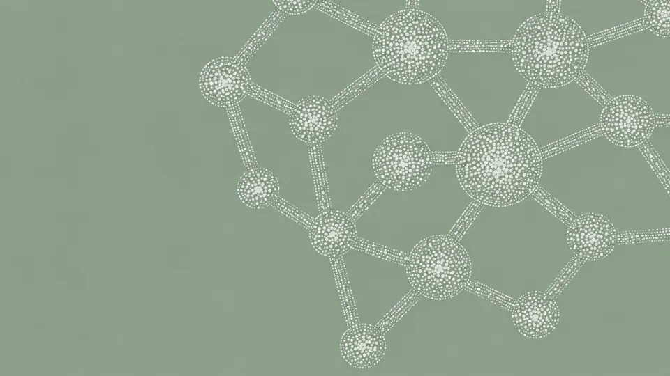 DIP Approach to Solve Page Rotation Problem