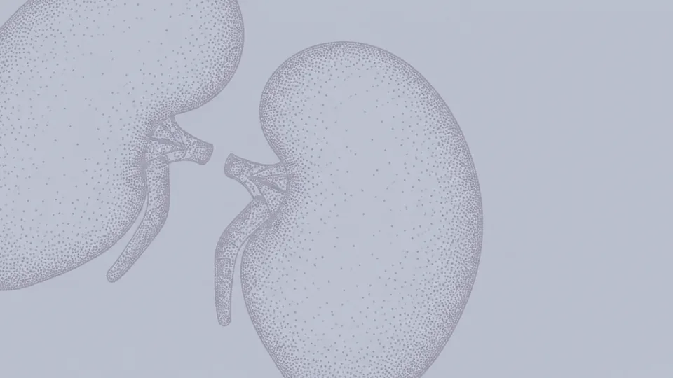 Pre-Surgical Planning and Anatomical Variance Analysis