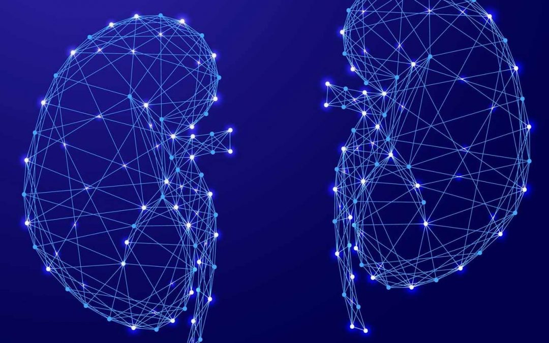 How AI is Currently Being Used in Nephrology