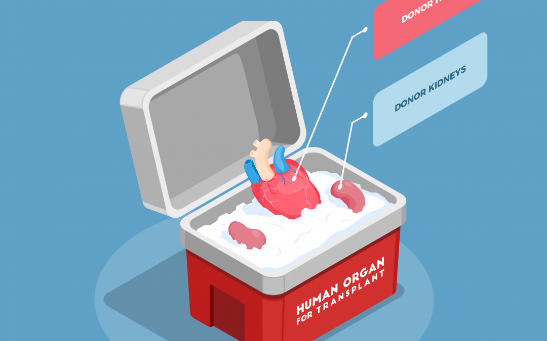 Using AI to Predict Mortality Risk of Liver Transplant Waitlisted Patients